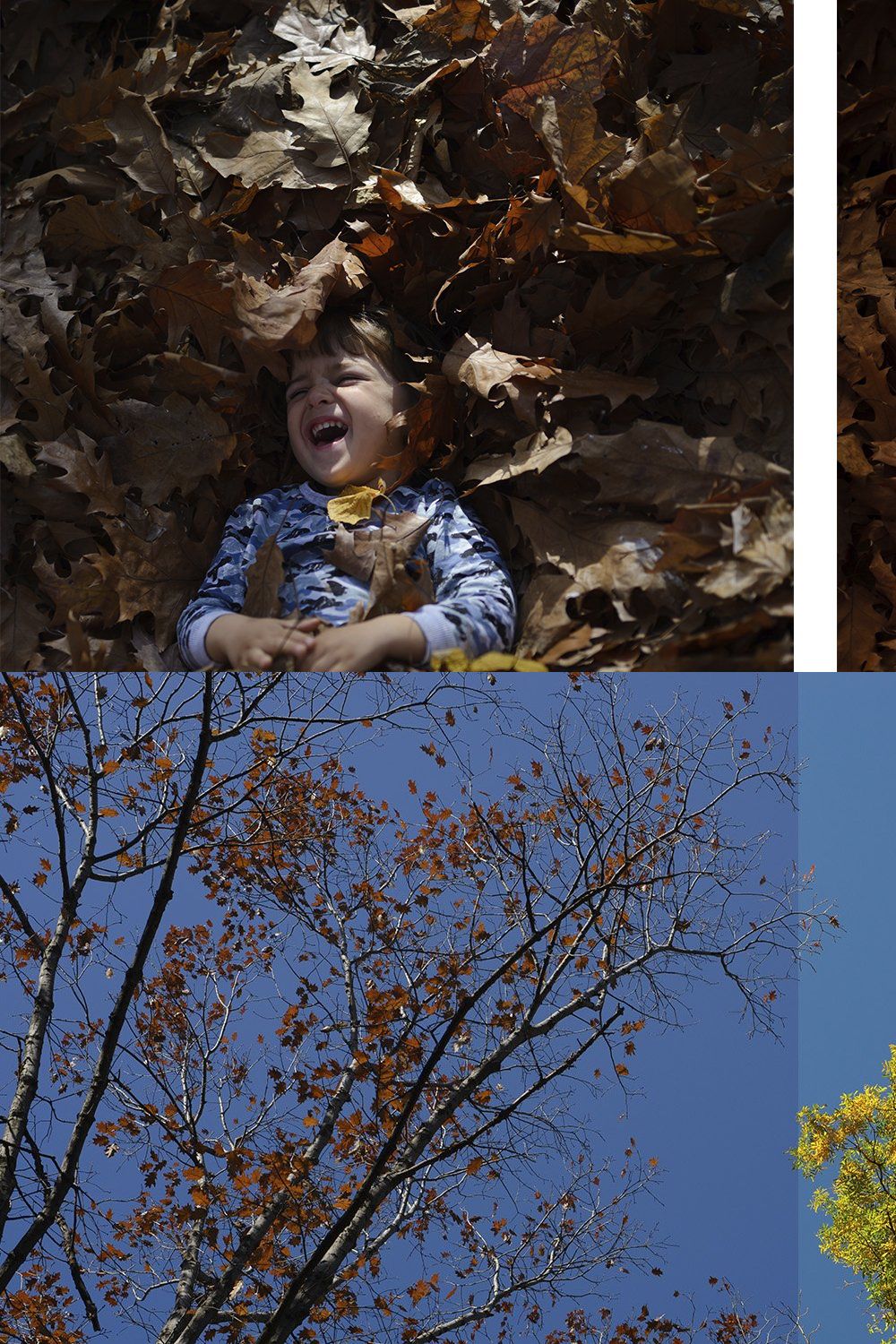 Autumn Adobe Lightroom Presets pinterest preview image.