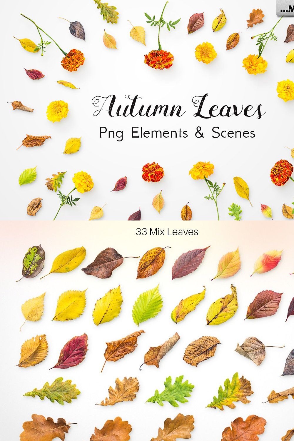 Autumn Leaves -Png Elements & Scenes pinterest preview image.
