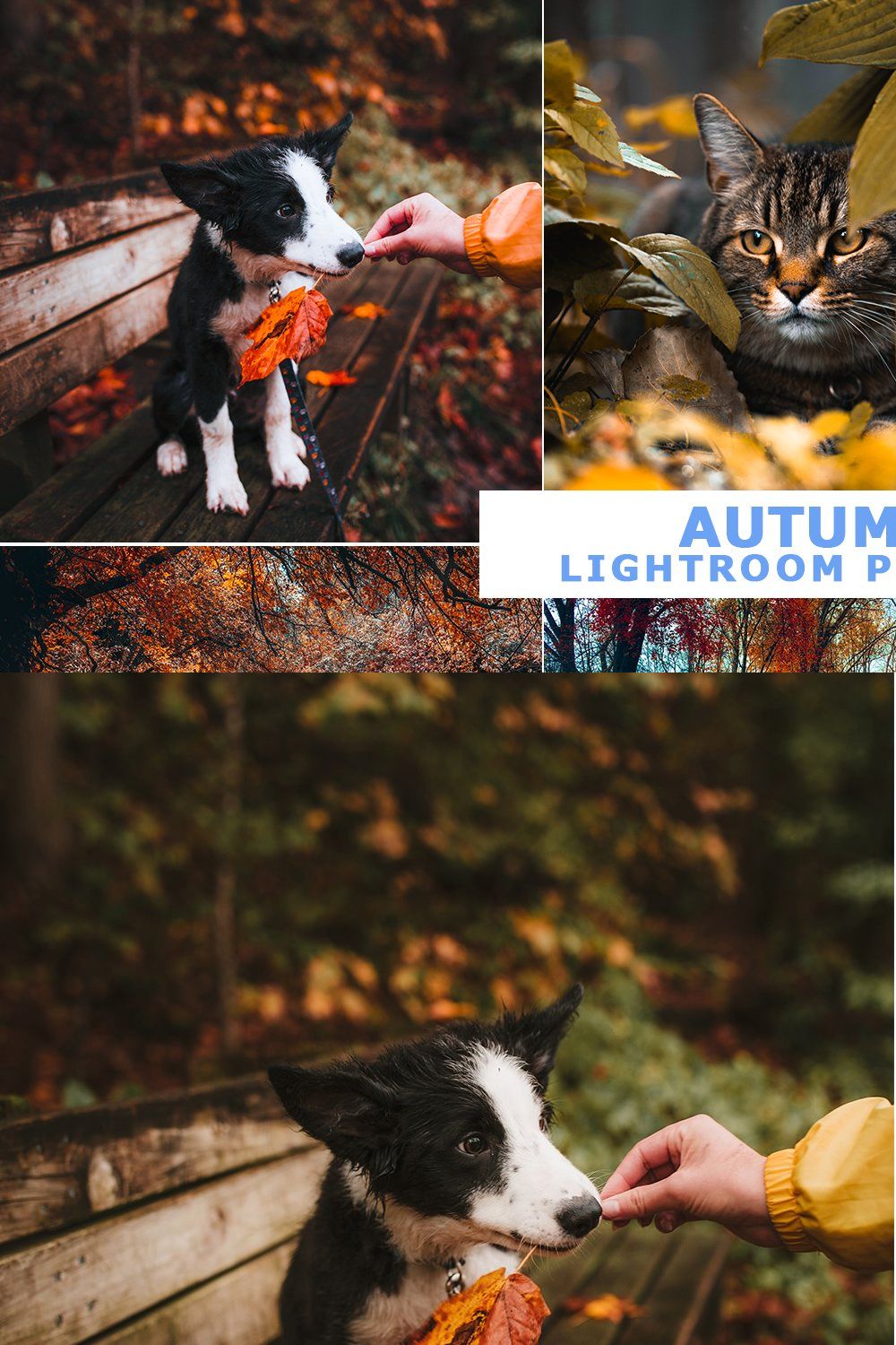 Autumn Lightroom Presets pinterest preview image.
