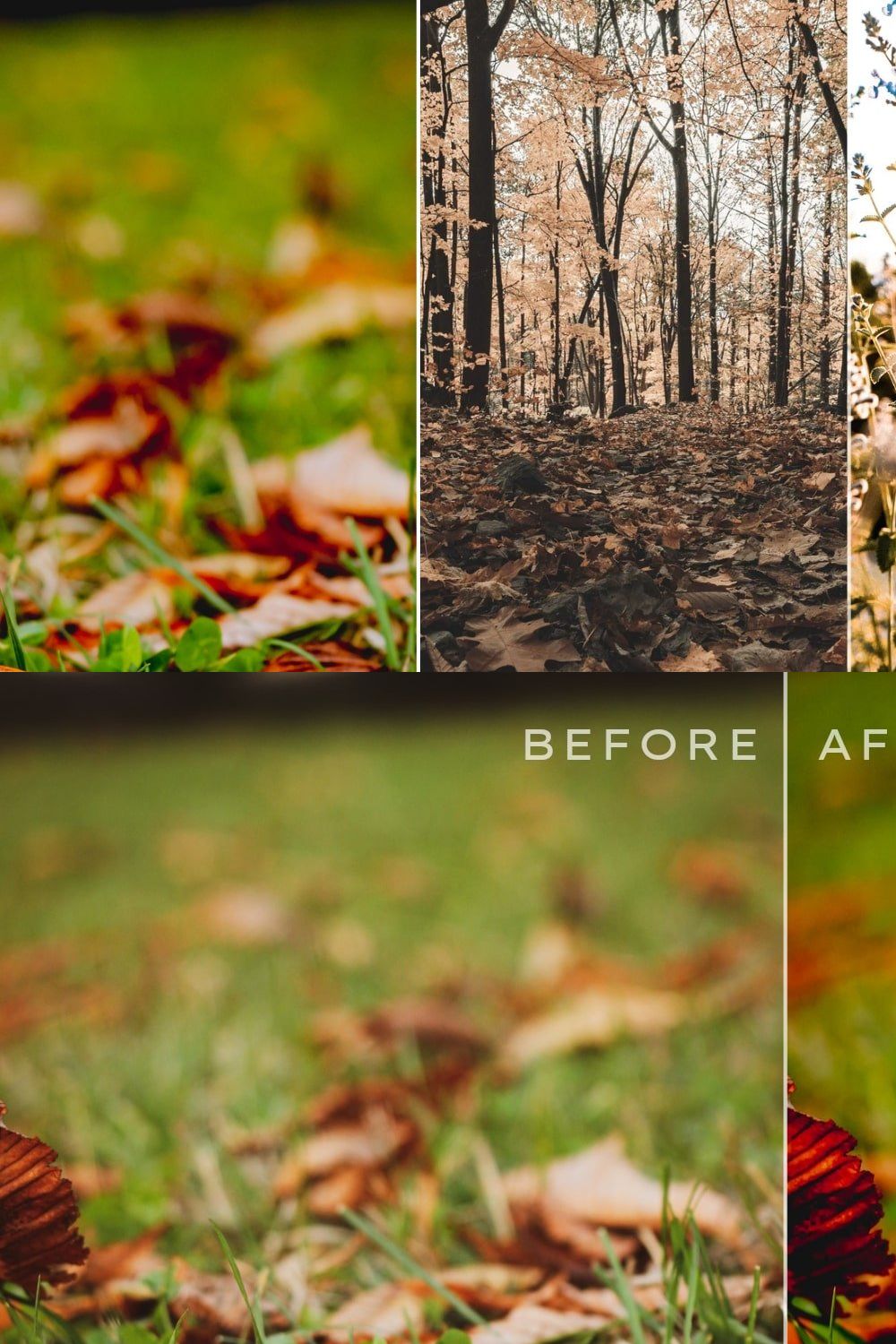 Autumn Lightroom Presets Bundle V1 pinterest preview image.