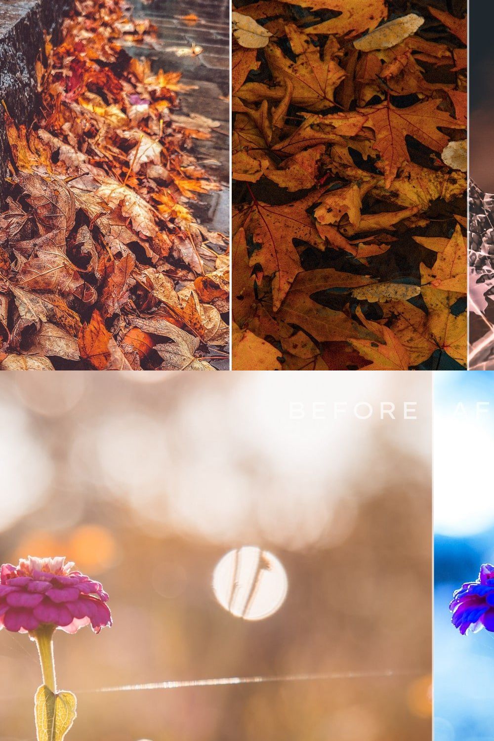 Autumn Lightroom Presets Bundle V2 pinterest preview image.