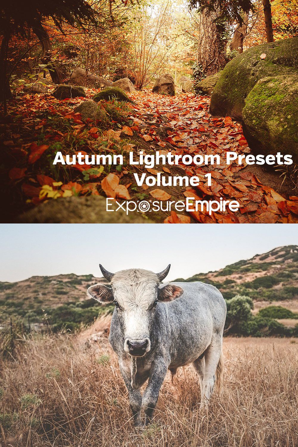 Autumn Lightroom Presets - Vol. 1 pinterest preview image.