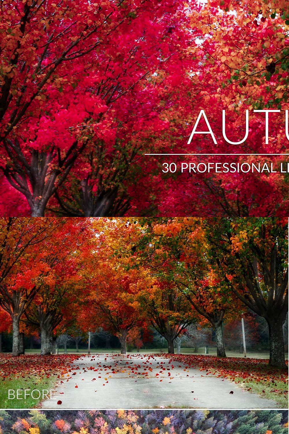 Autumn Lr Presets pinterest preview image.