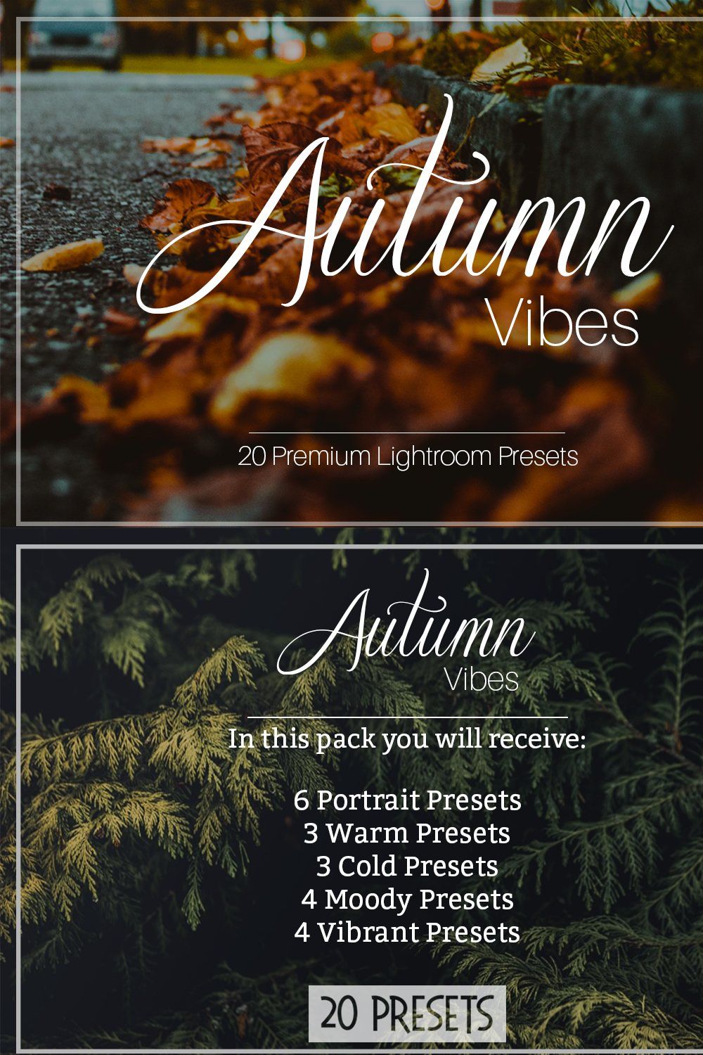 Autumn Vibes - Lightroom Presets pinterest preview image.