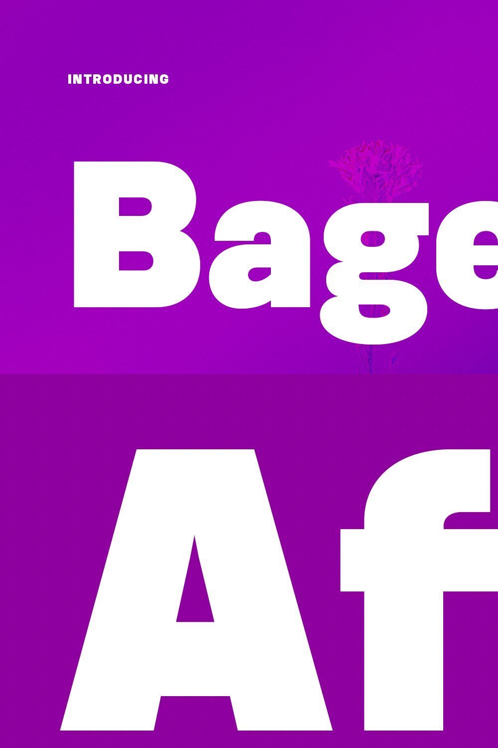 Bagefi Sans Serif Display Font pinterest preview image.