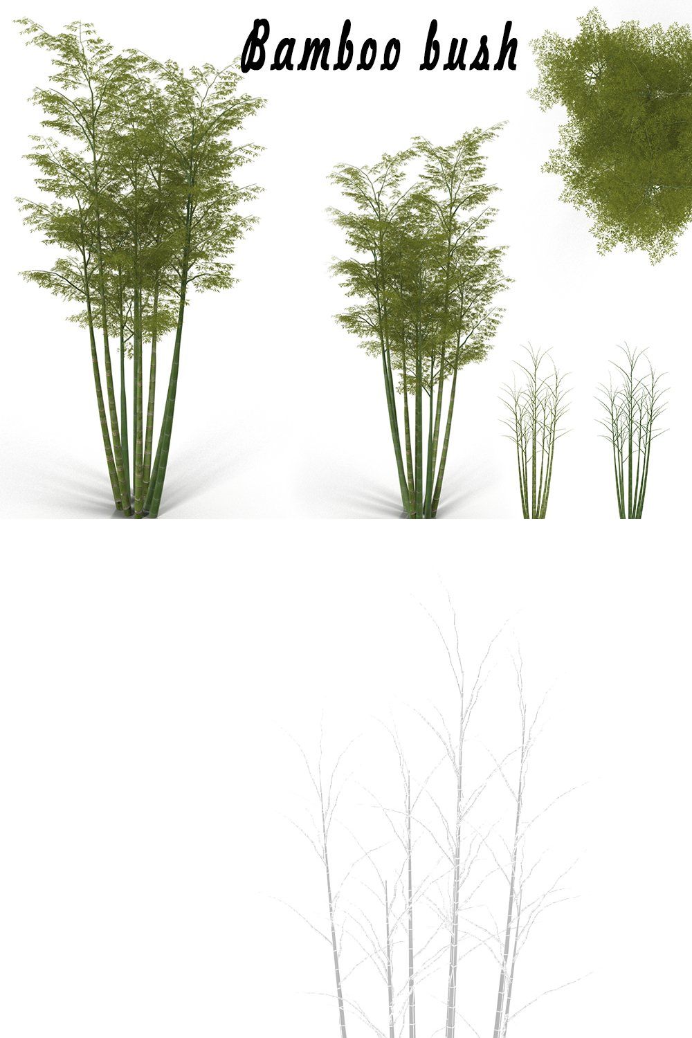 Bamboo bush pinterest preview image.