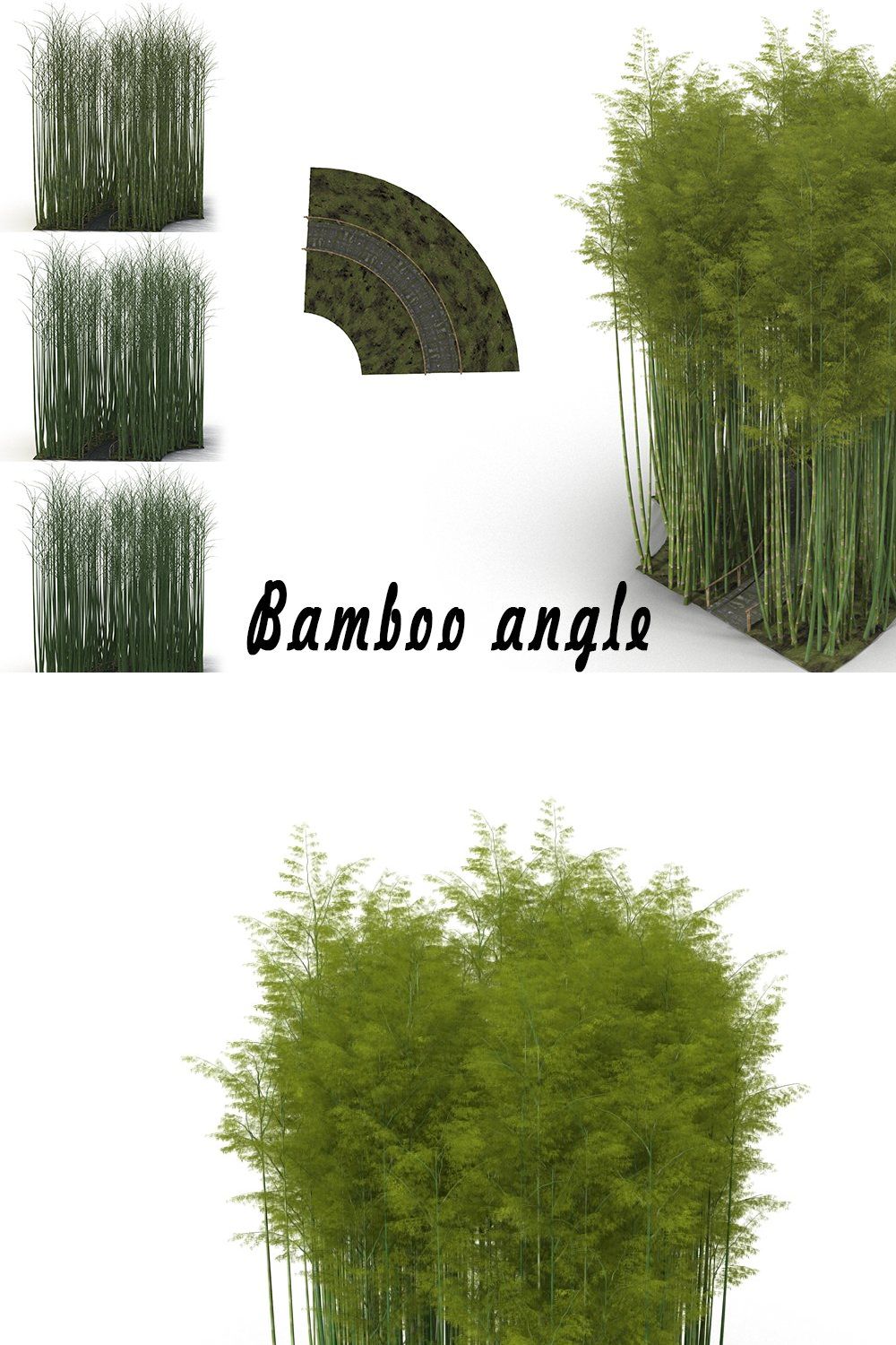 Bamboo corridor # 1 pinterest preview image.