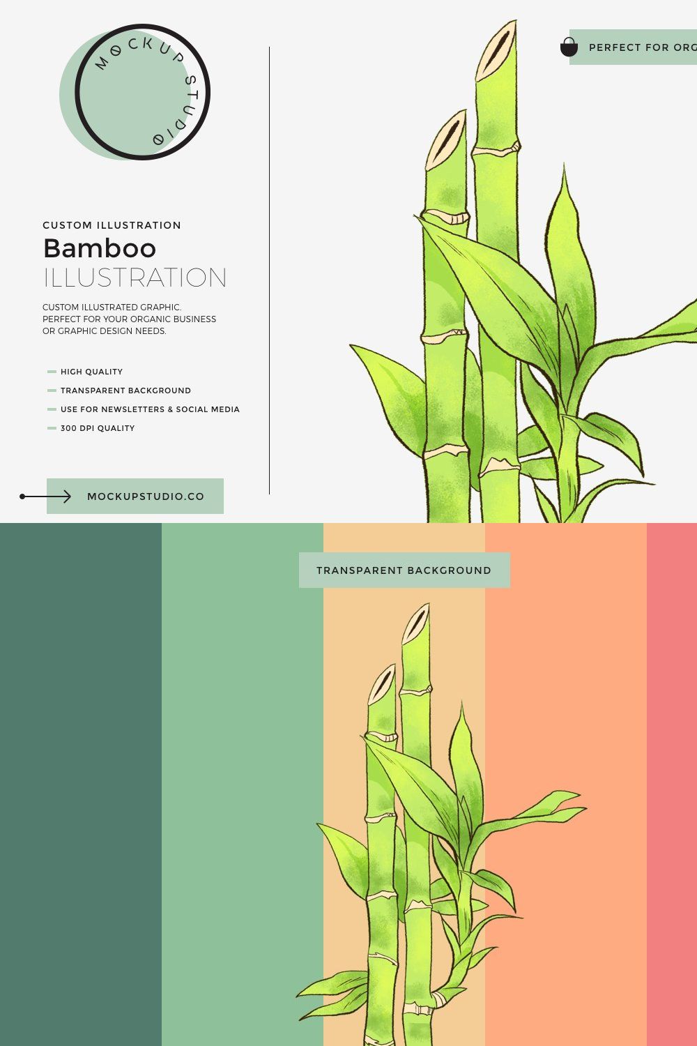 Bamboo Custom Illustration pinterest preview image.