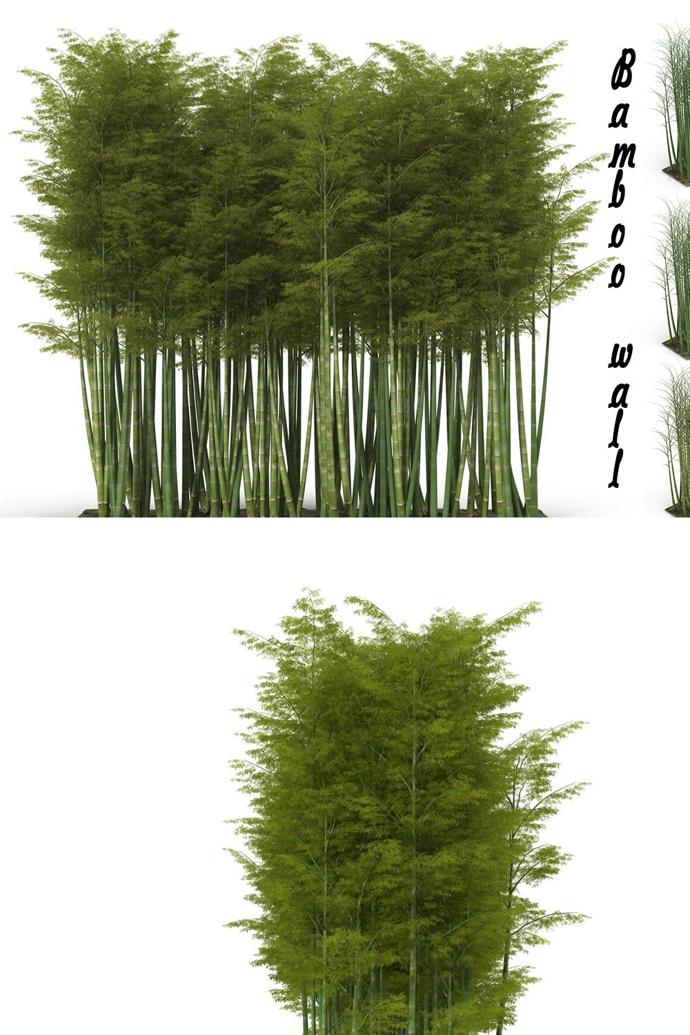 Bamboo wall pinterest preview image.