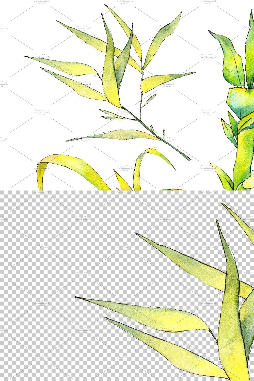 Bamboo watercolor product png pinterest preview image.