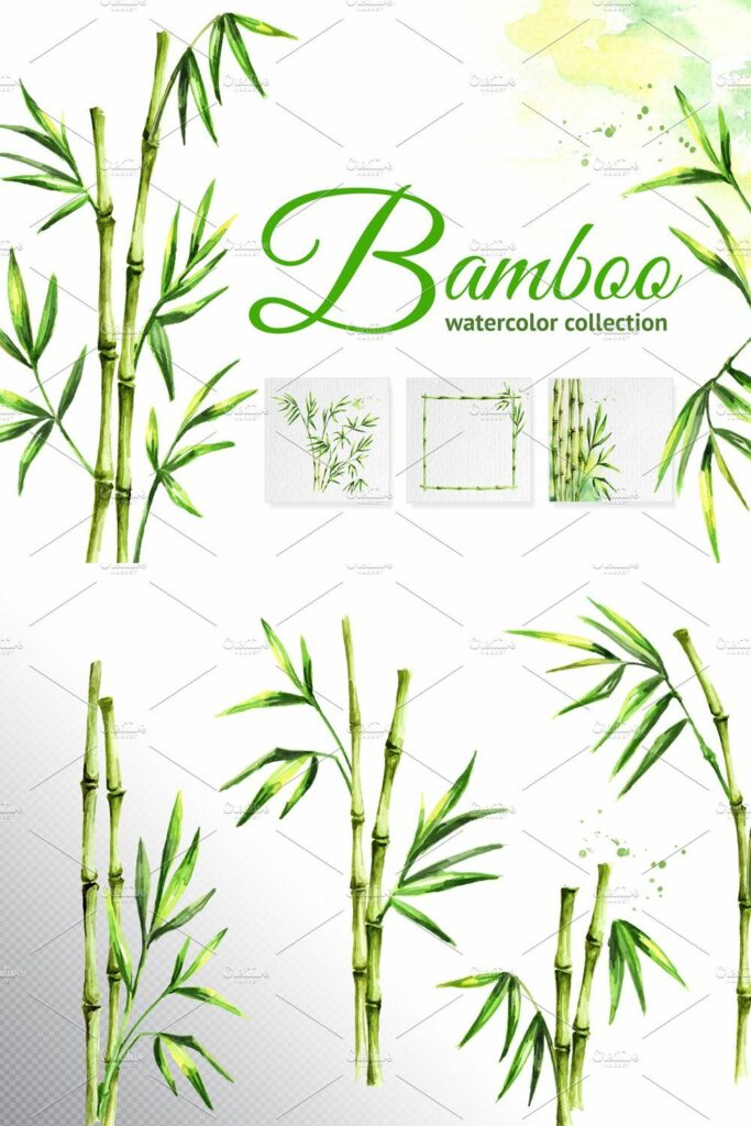 Bamboo. Watercolor collection – MasterBundles