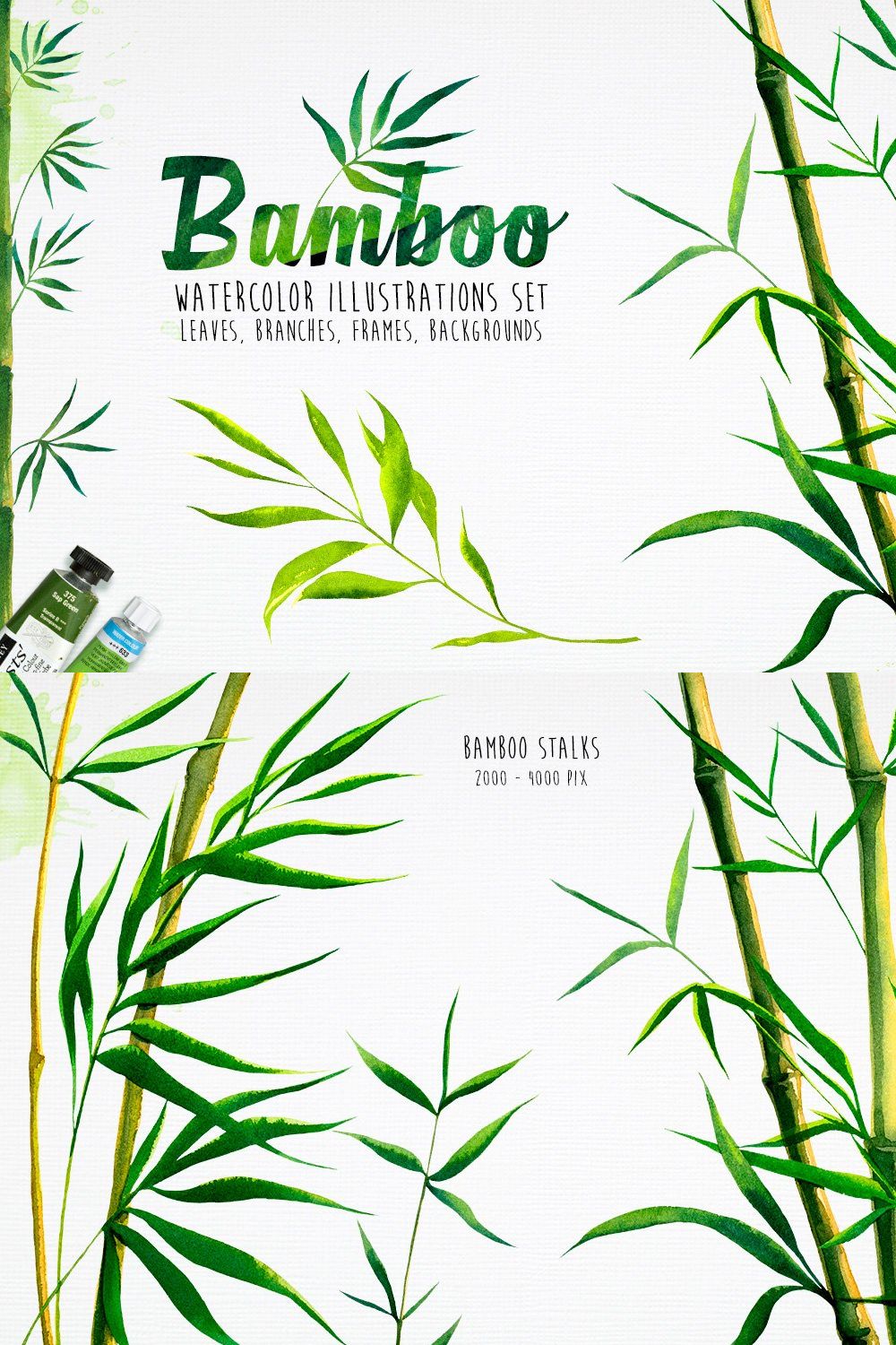 Bamboo. Watercolor illustrations. pinterest preview image.