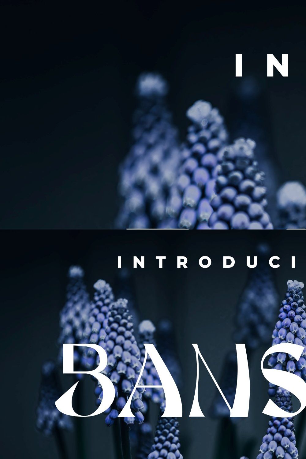 Bansai pinterest preview image.