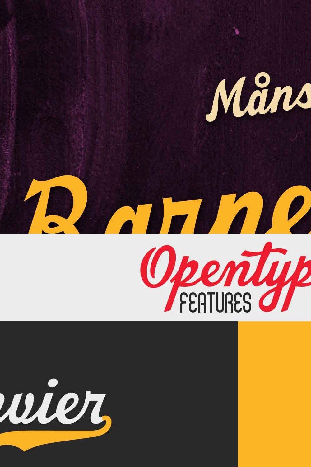 Barney Script — Cool Sports Script pinterest preview image.