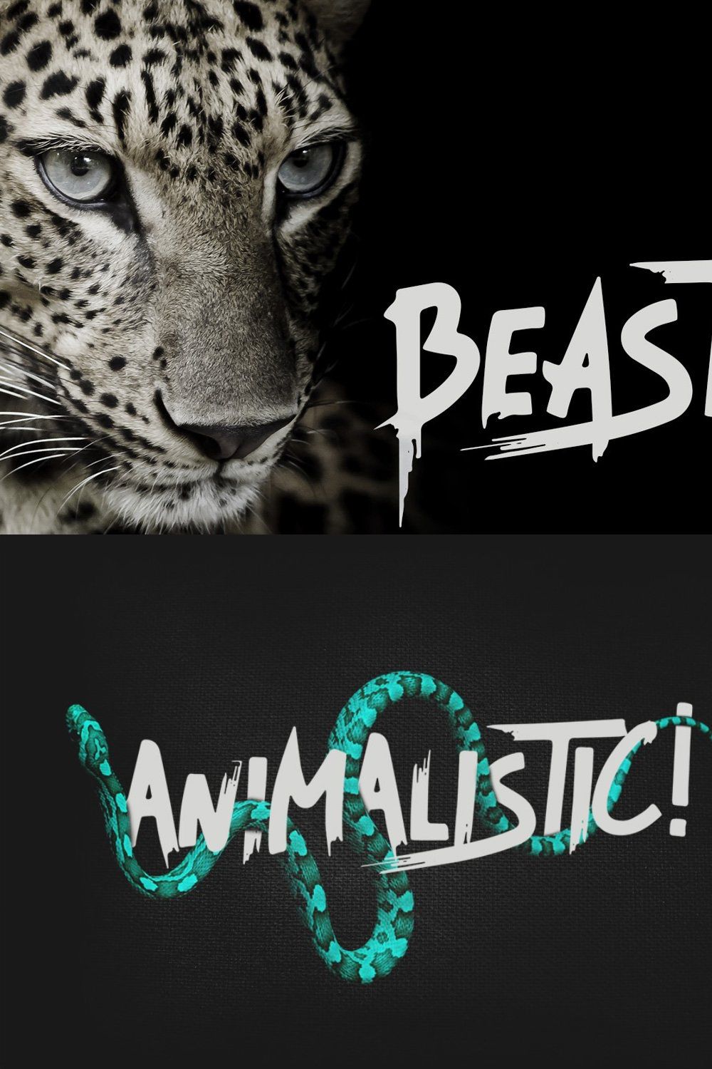 Beast - Brush Font pinterest preview image.