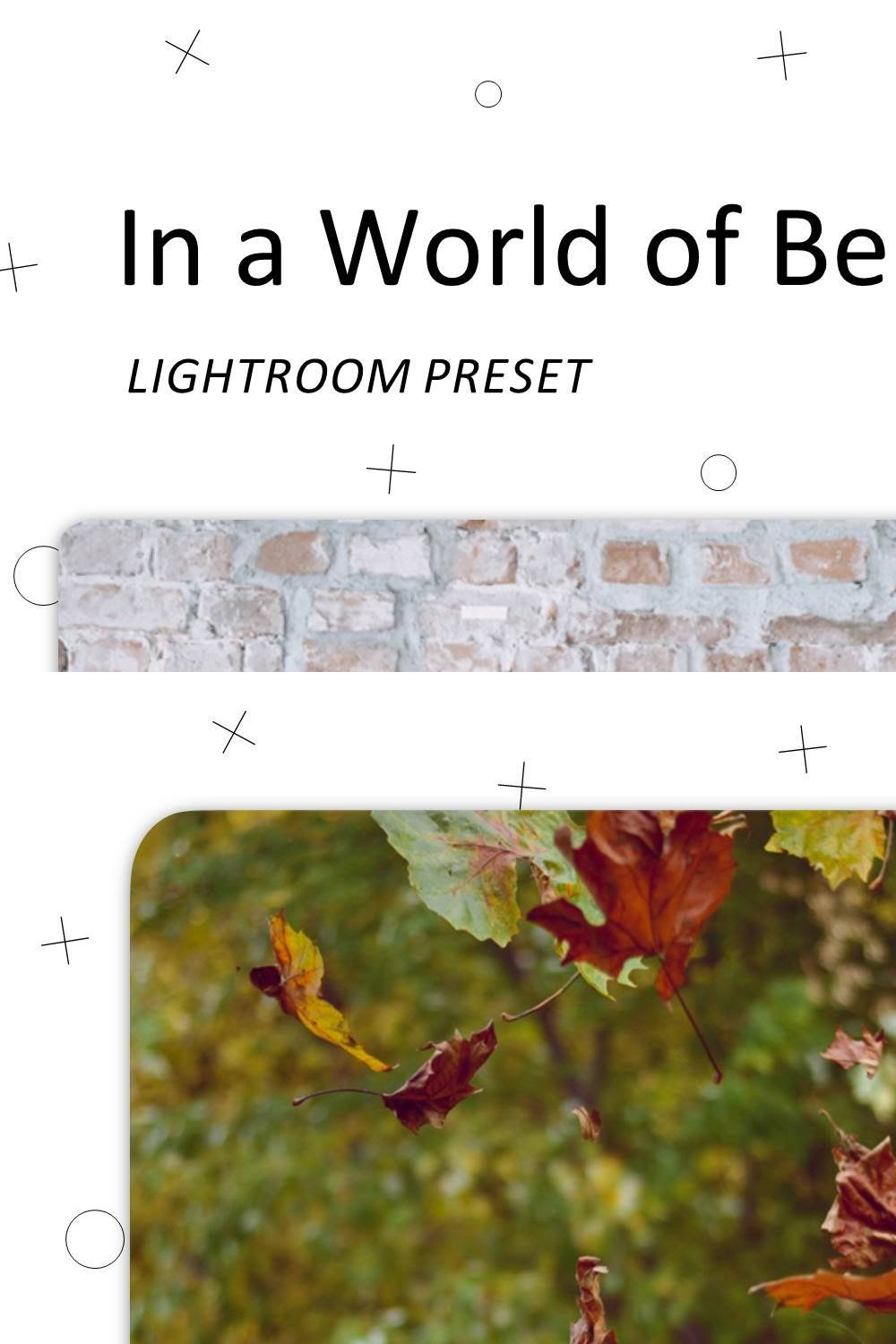 Beautiful Moments Lightroom Presets pinterest preview image.