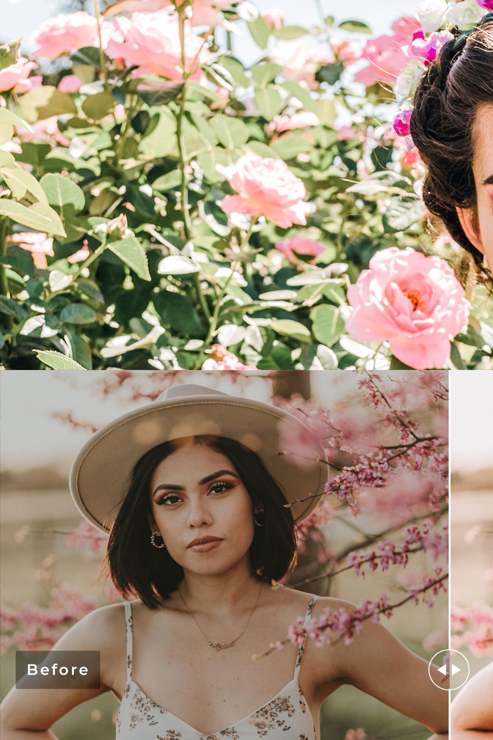 Beebalm Pro Lightroom Presets pinterest preview image.