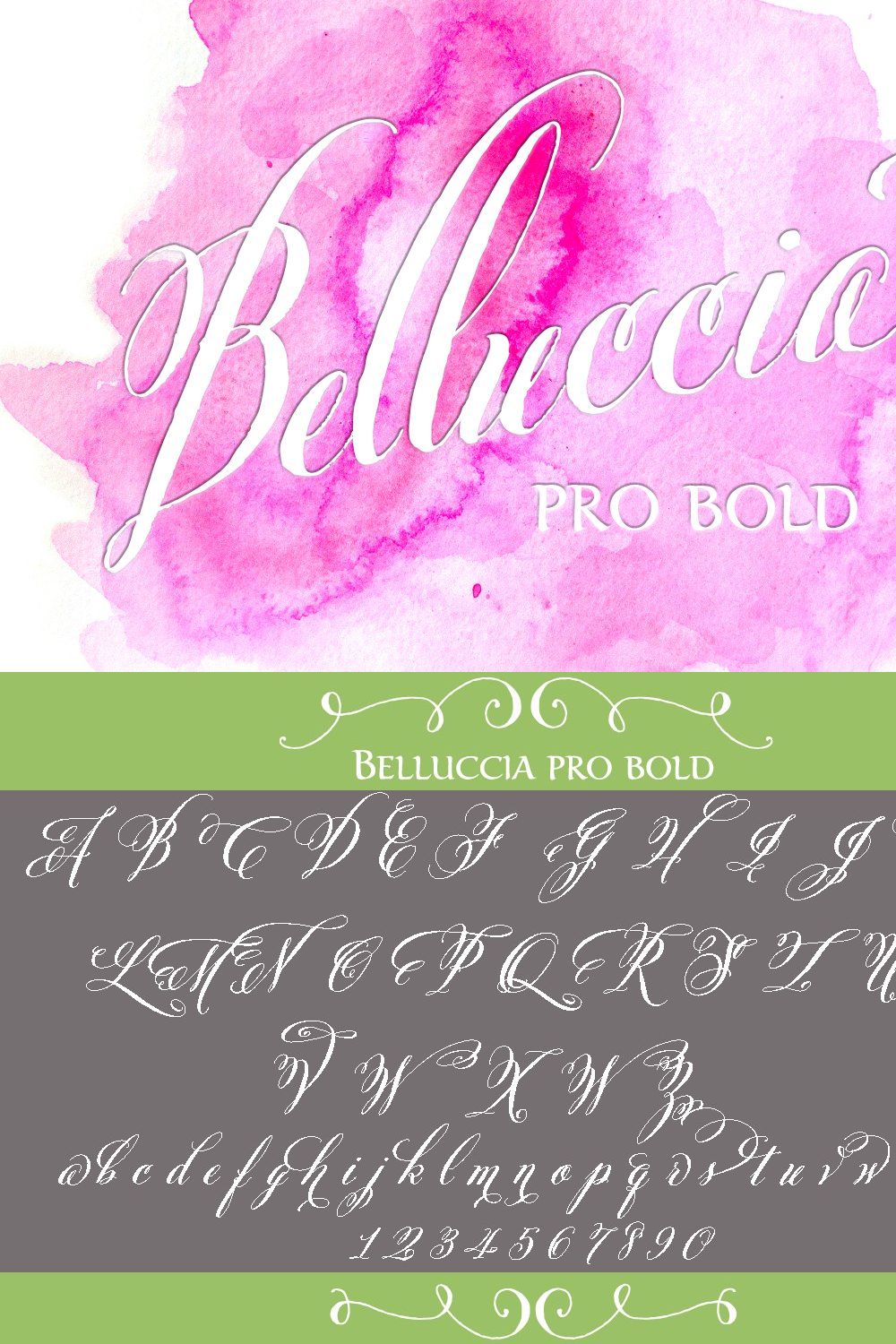 Belluccia Pro Bold Font pinterest preview image.