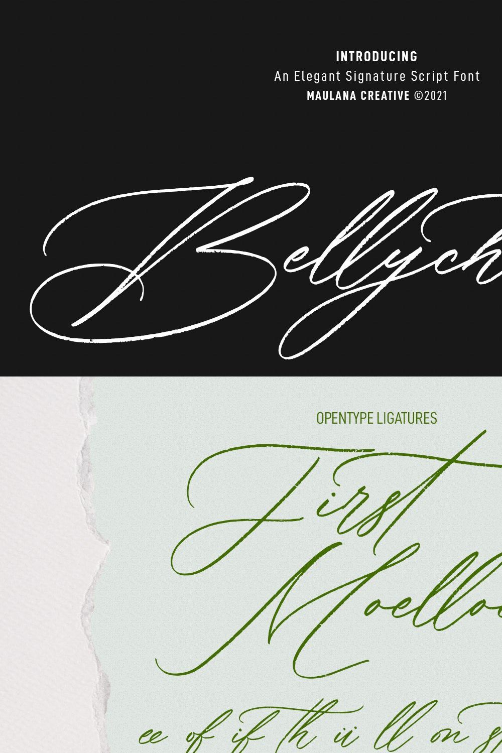 Bellychestor Elegant Signature pinterest preview image.