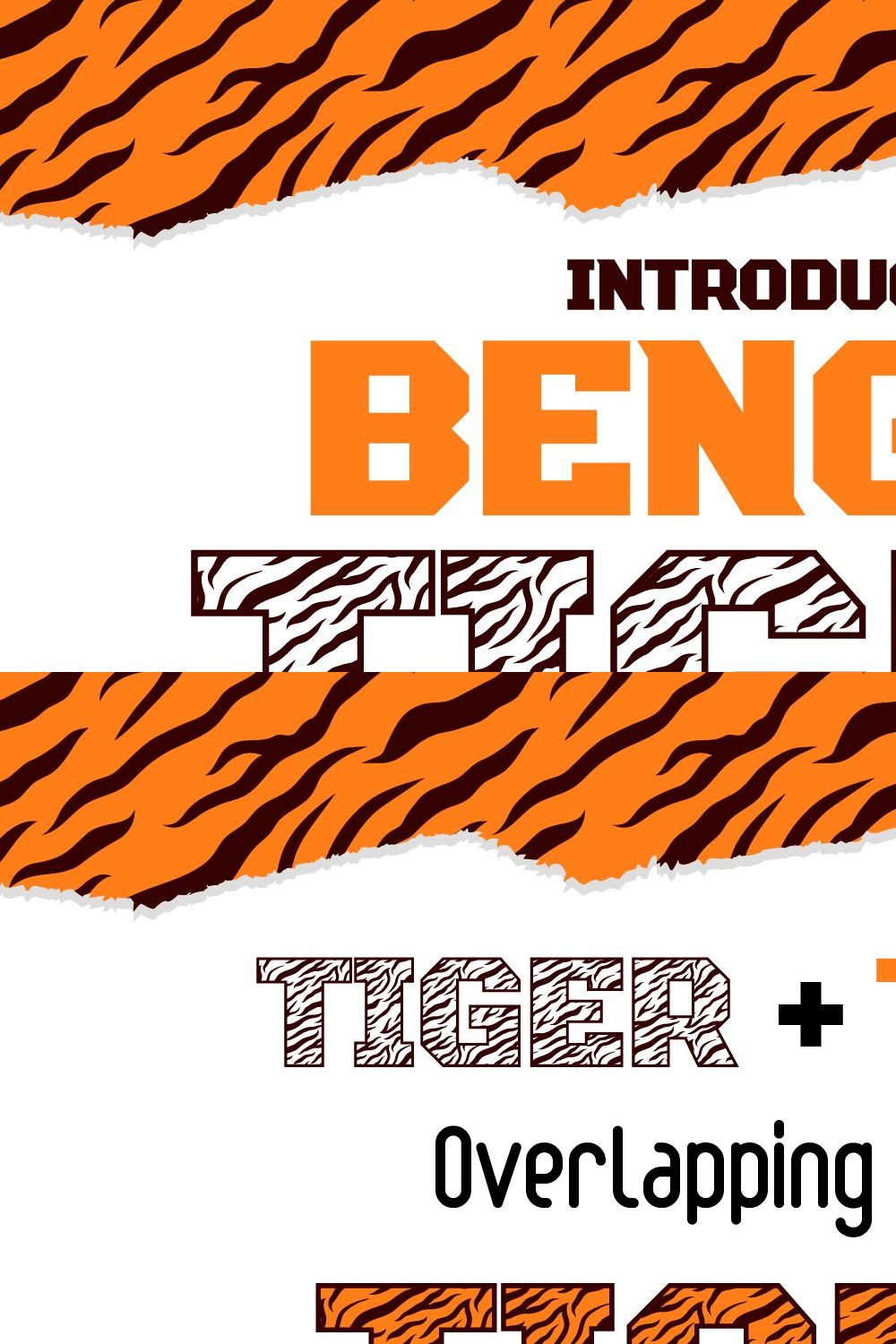 Bengal Tiger Decorative Font pinterest preview image.