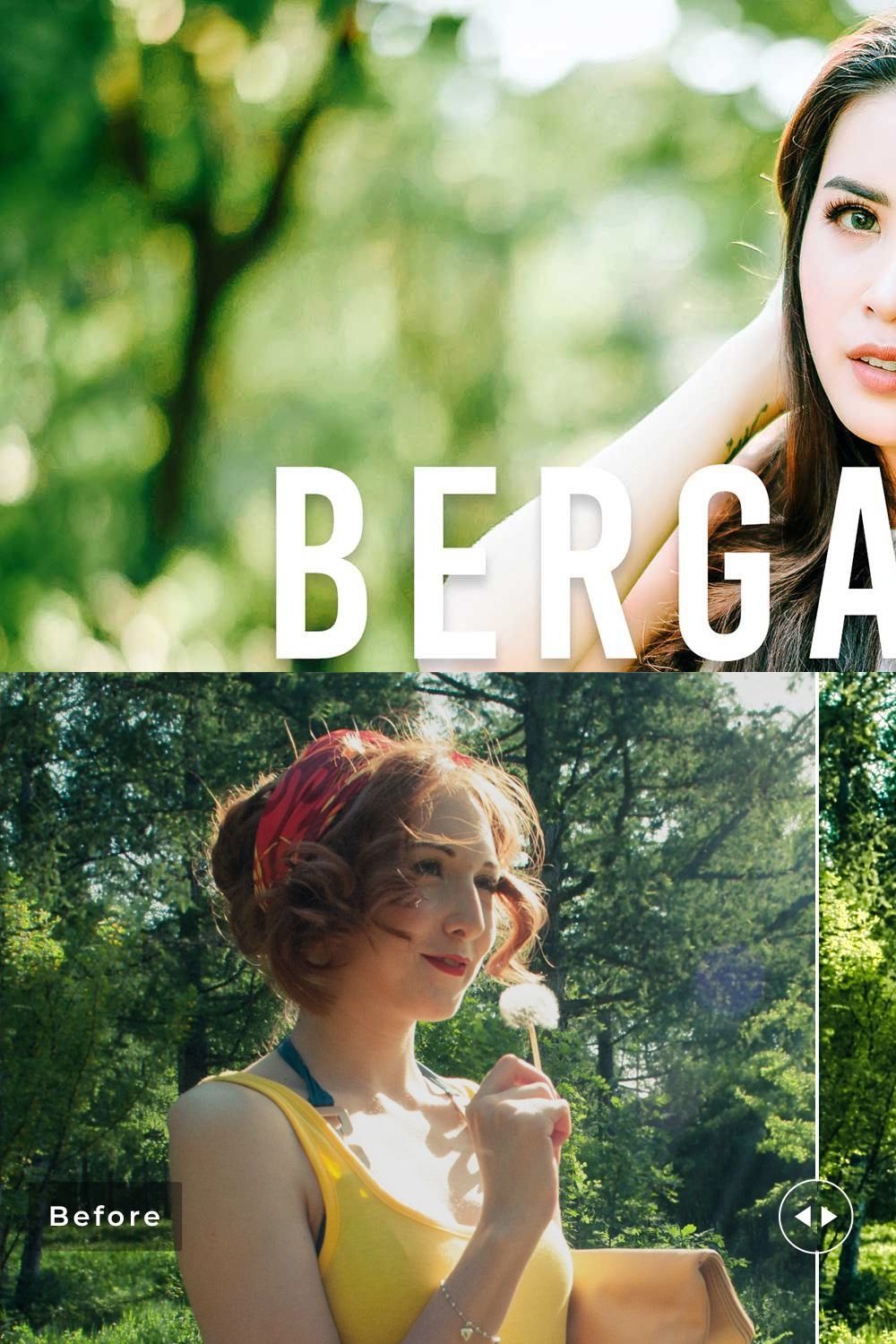 Bergamot Pro Lightroom Presets pinterest preview image.