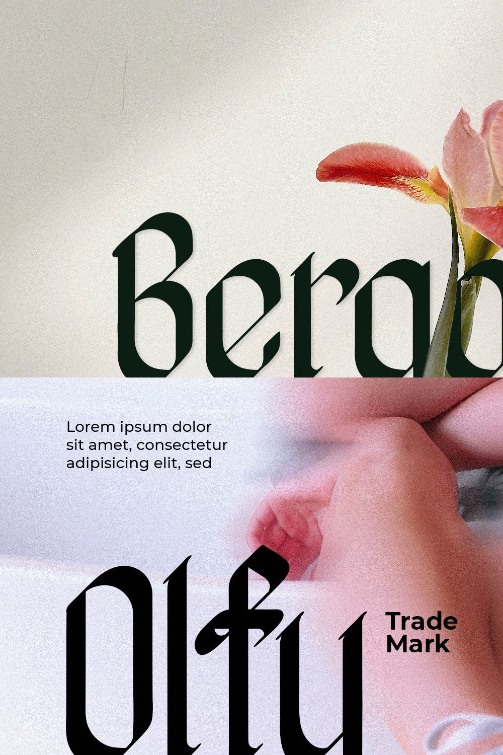Bergolost Display Typeface pinterest preview image.