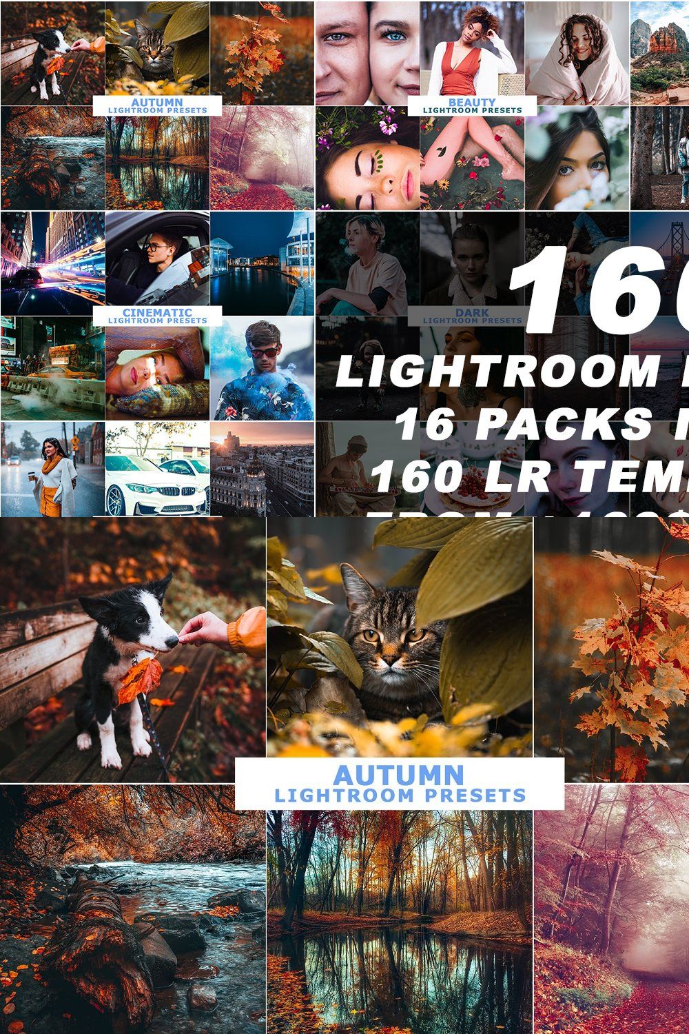 Best Lightroom Presets Download pinterest preview image.