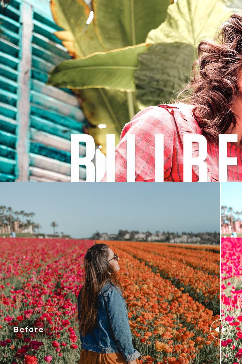 Billbergia Pro Lightroom Presets pinterest preview image.