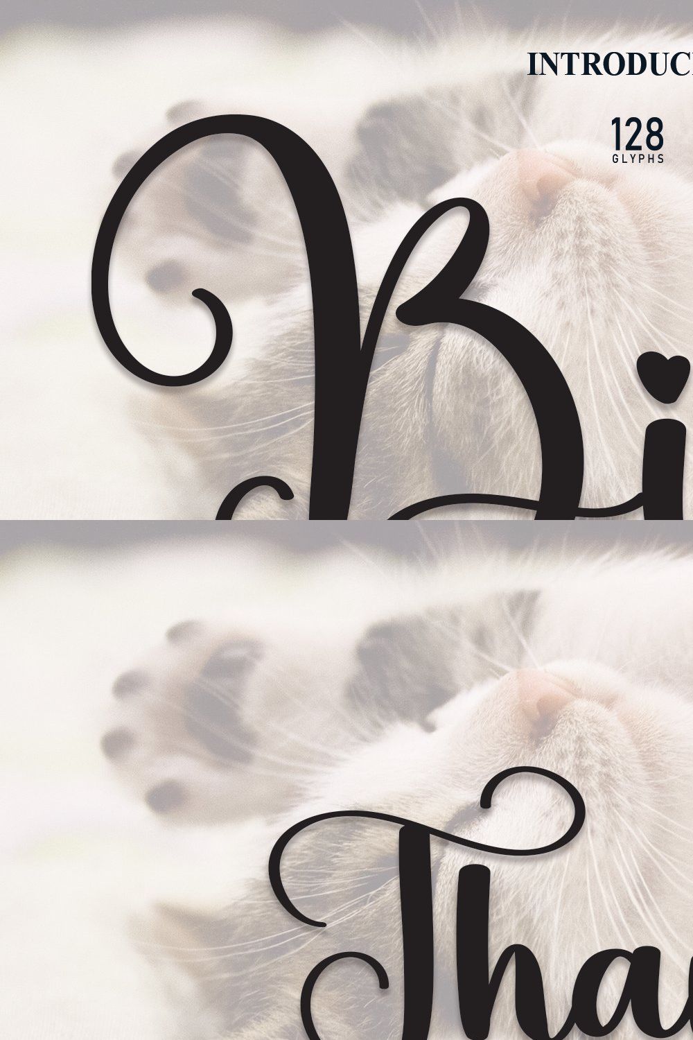 Billi | Script Font pinterest preview image.