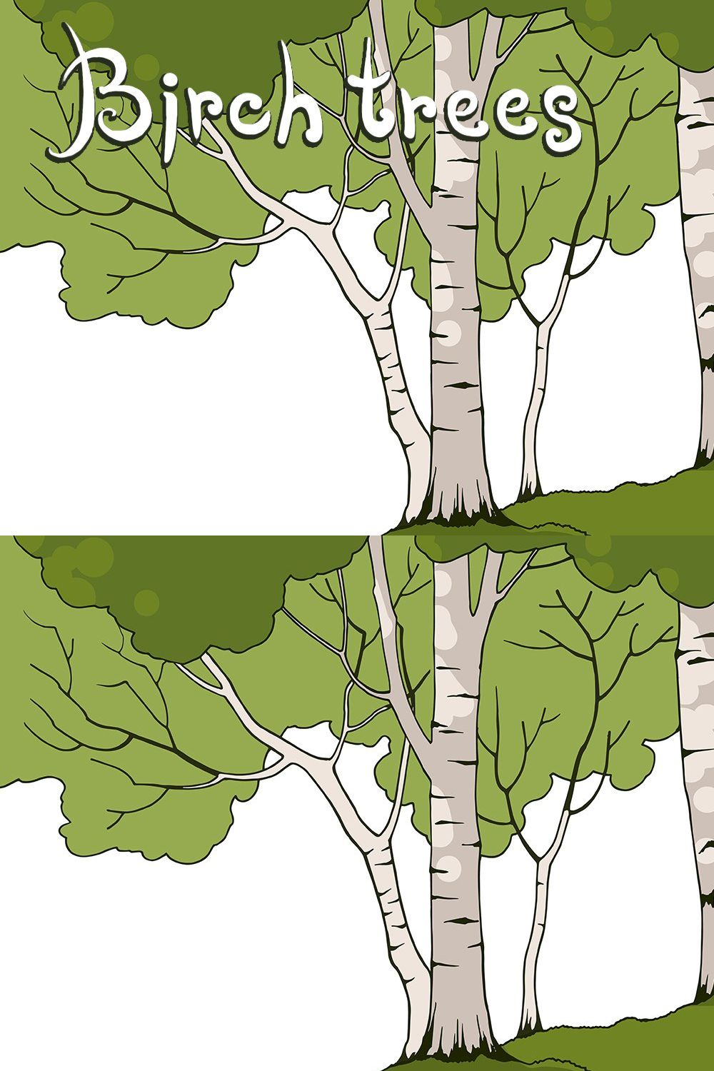 Birch Trees pinterest preview image.