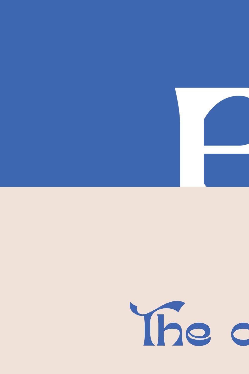 Bird King Retro Serif pinterest preview image.