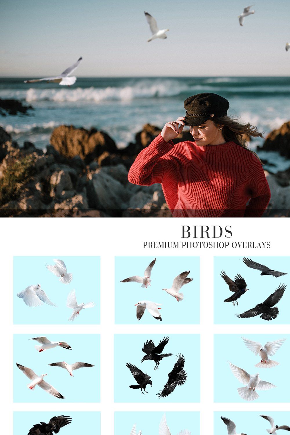 Bird Overlays Photoshop pinterest preview image.