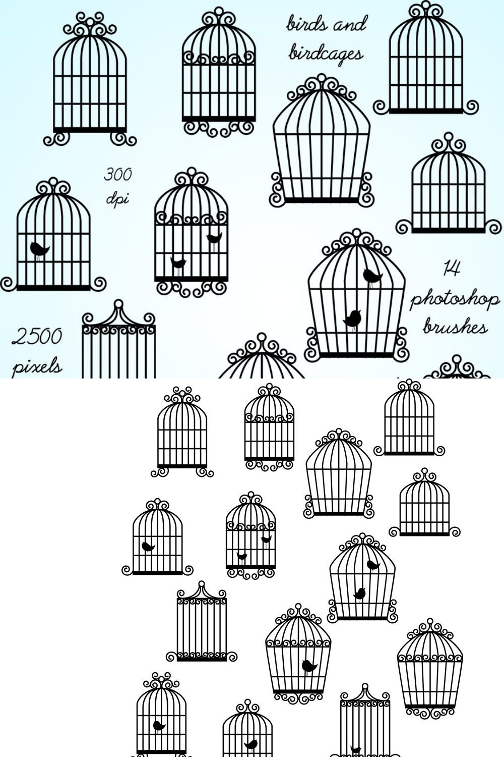 Birdcages Photoshop Brushes pinterest preview image.