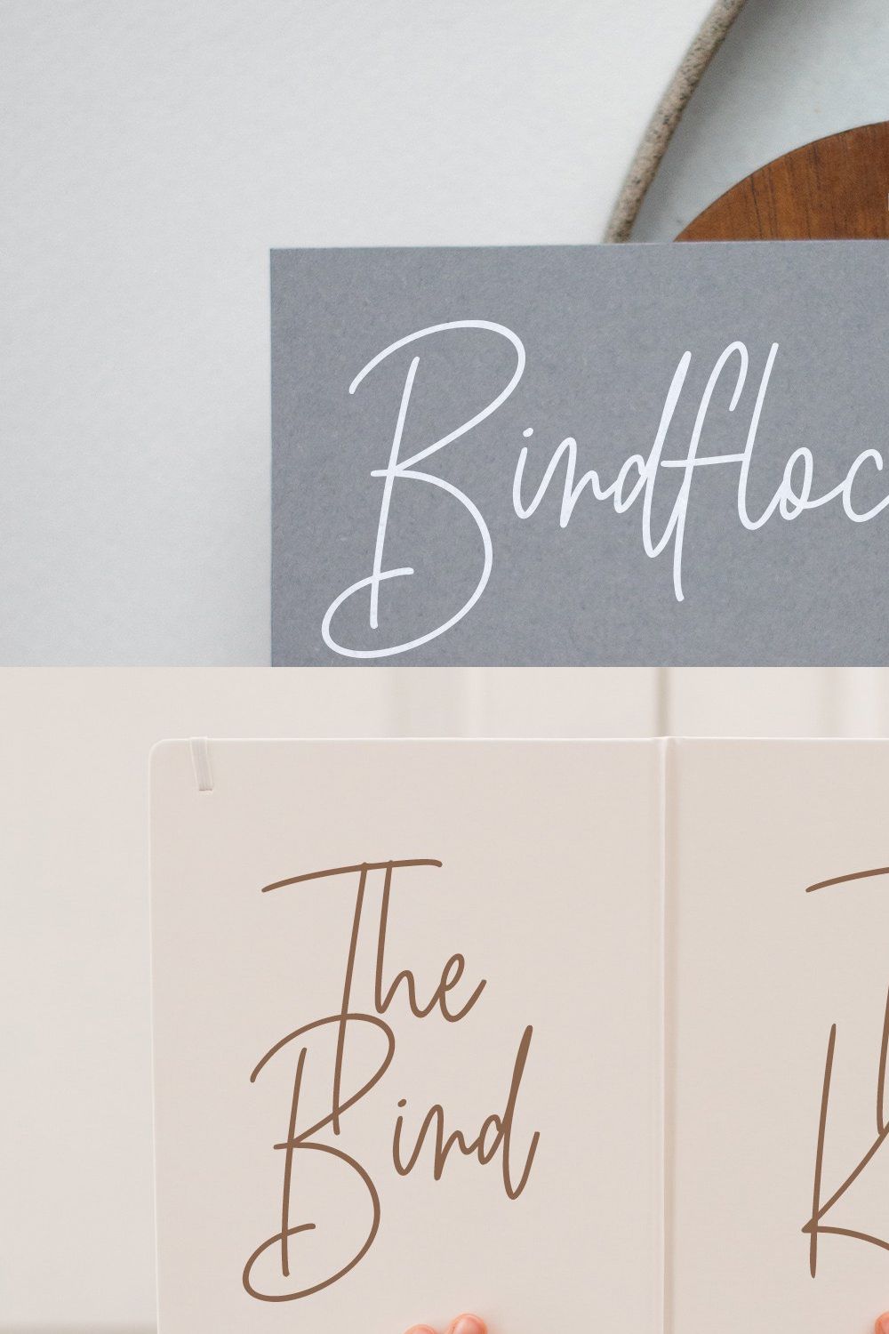 Birdflocks Script Font pinterest preview image.