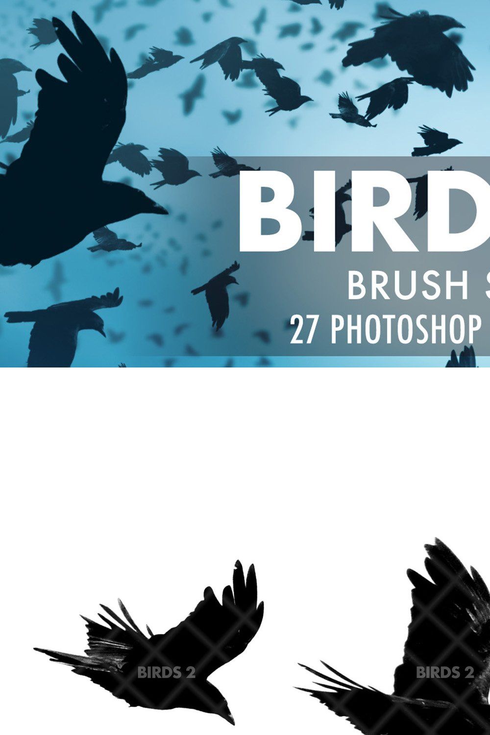 Birds 2 Brush Set pinterest preview image.