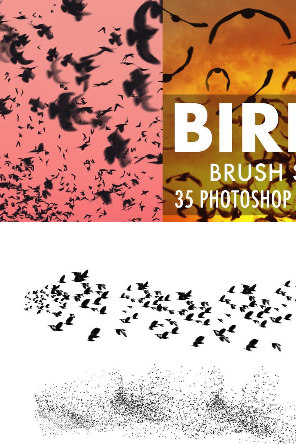 Birds Brush Set pinterest preview image.