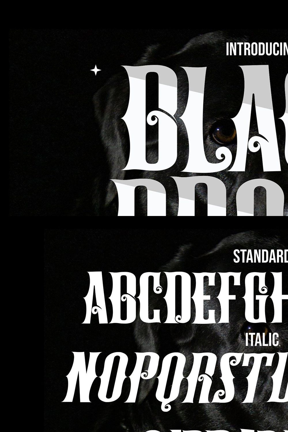 Black Brody - Aesthetic Blackletter pinterest preview image.