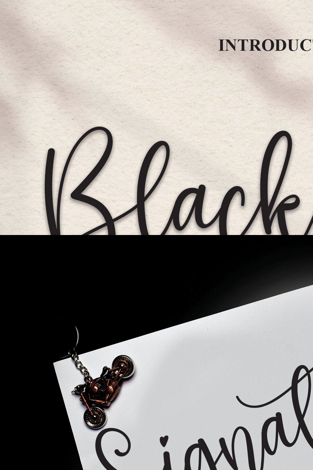 Blackbeer | Script Font pinterest preview image.