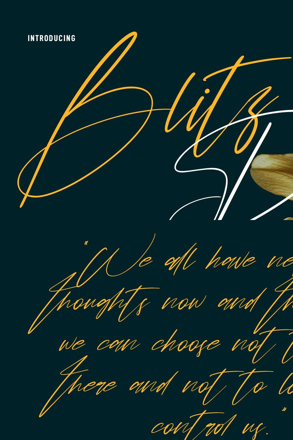 Blitz Pops Signature Script Font pinterest preview image.