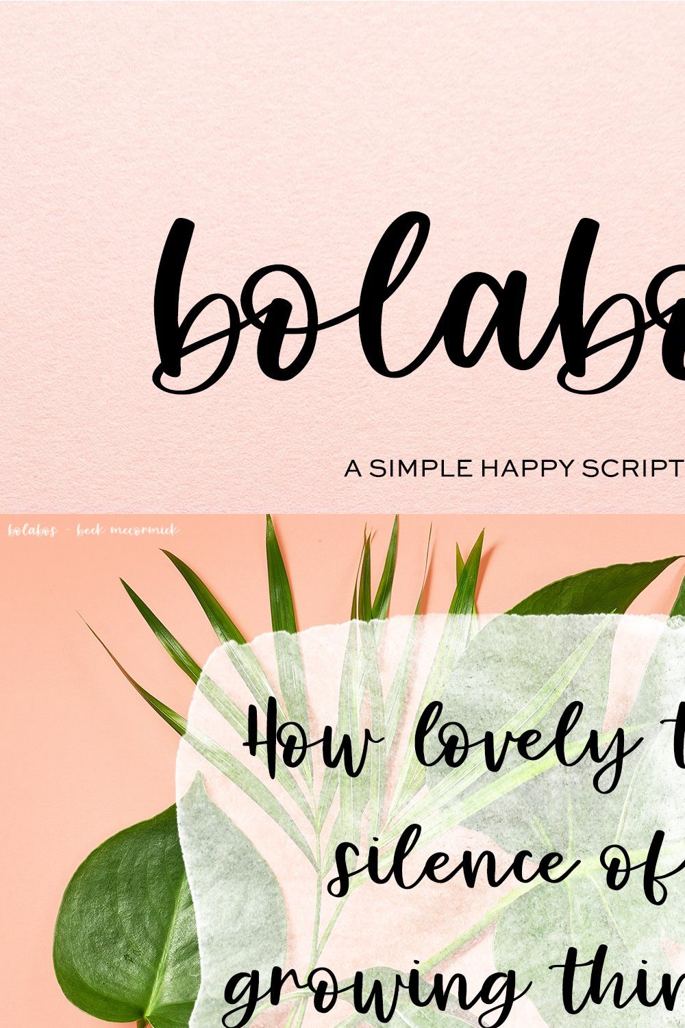 Bolabos Script Font pinterest preview image.