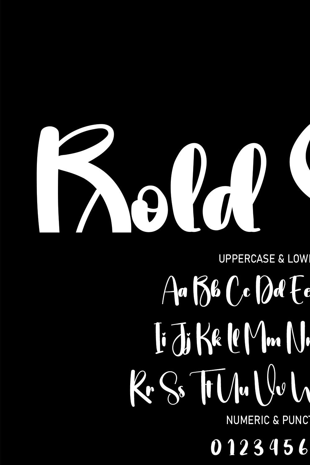 Bold Style | Script Font pinterest preview image.