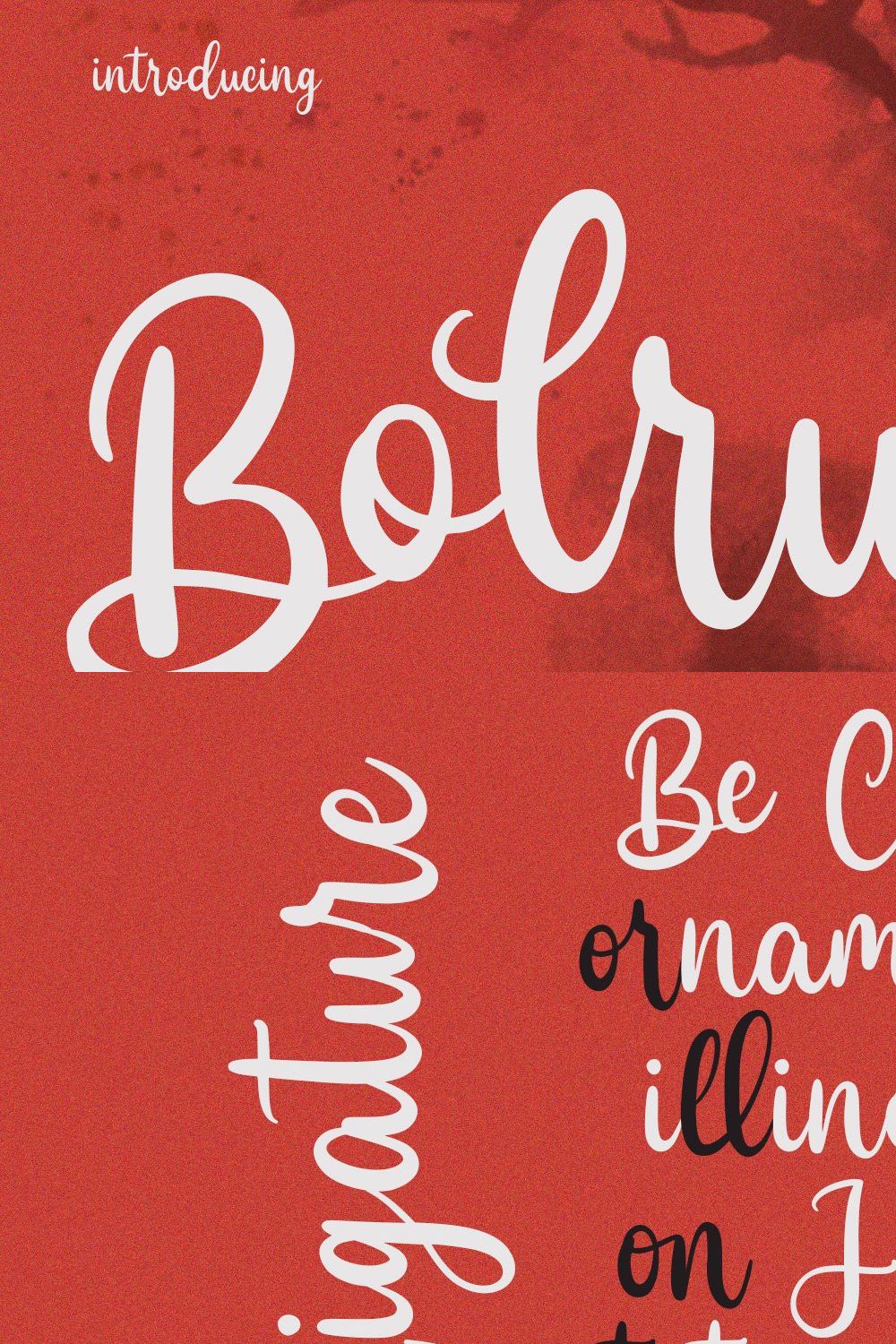 Bolrusa Script Font pinterest preview image.