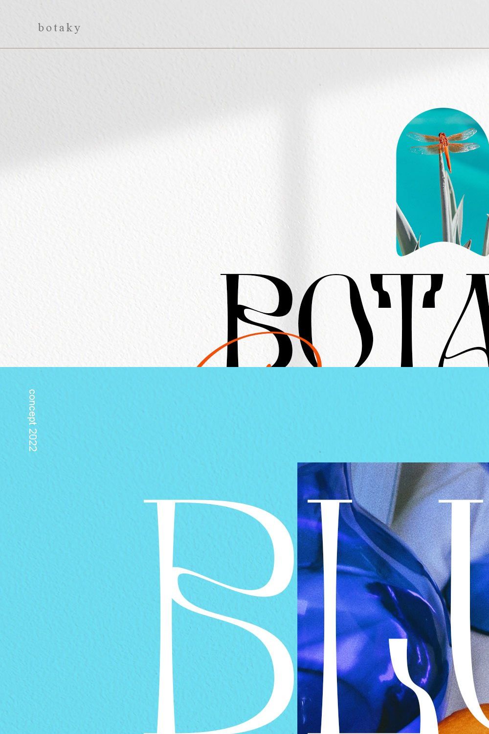 BOTAKY Romellast pinterest preview image.