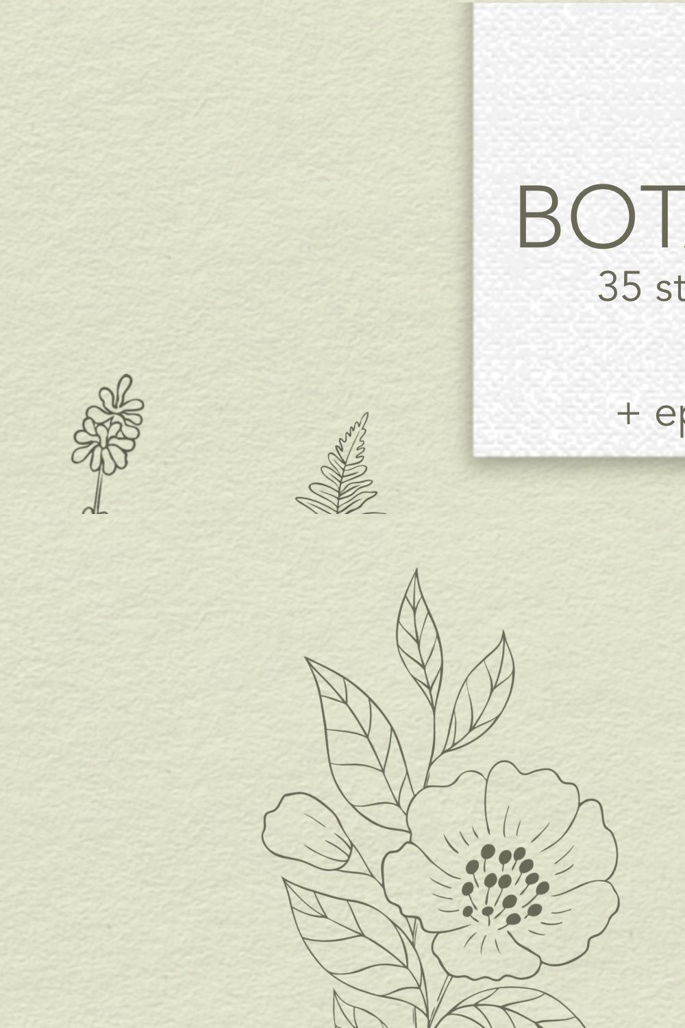 Botanical Procreate stamps, cliparts pinterest preview image.