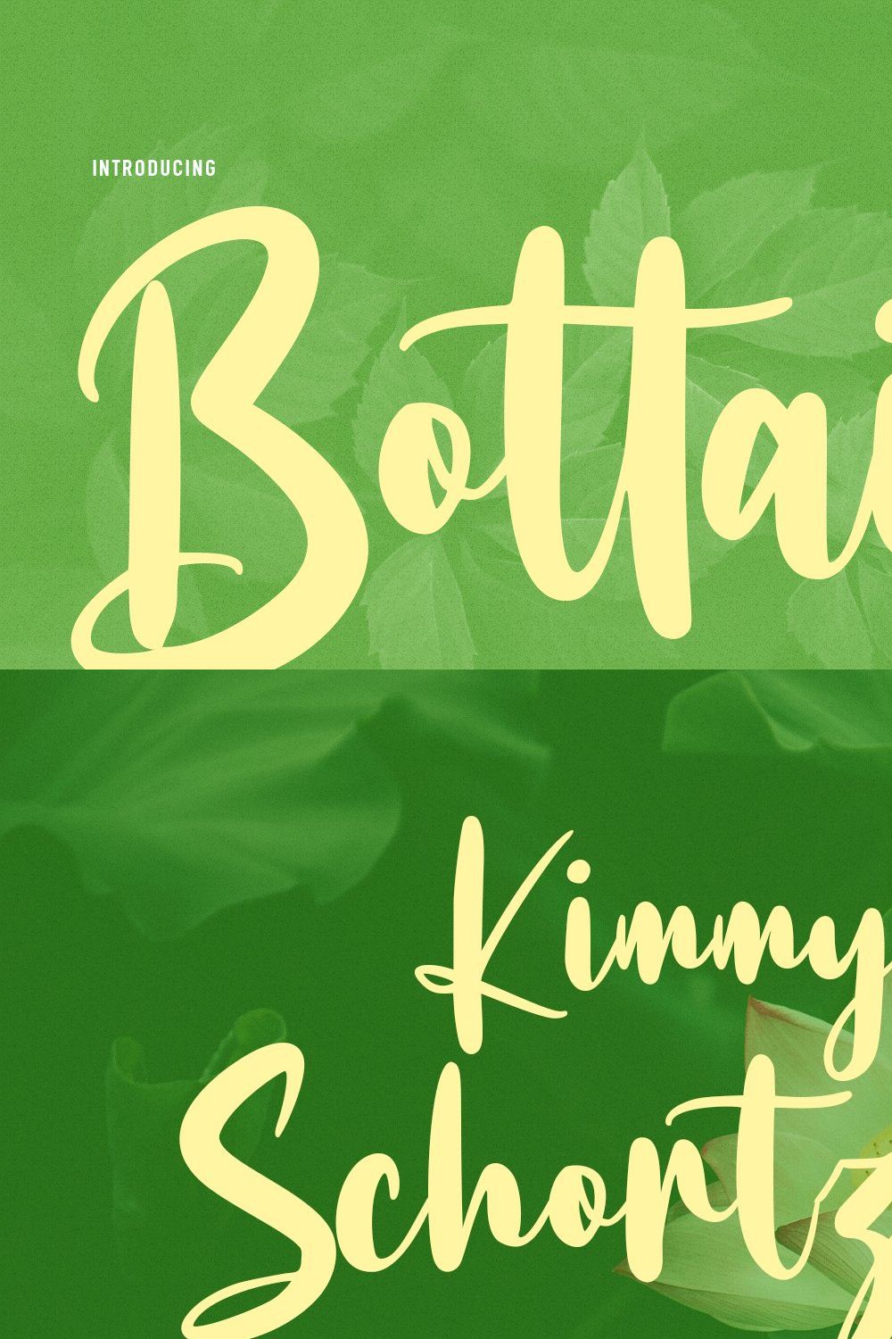 Bottairs Script Font pinterest preview image.