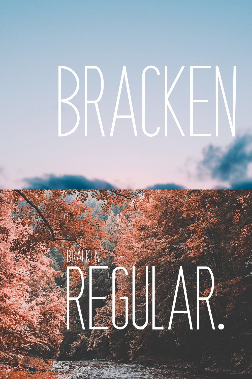 Bracken | A Hipster Font Family pinterest preview image.