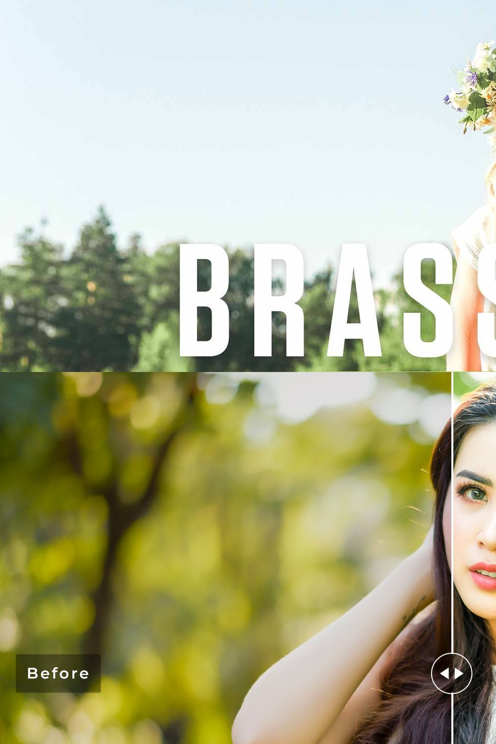 Brassica Pro Lightroom Presets pinterest preview image.