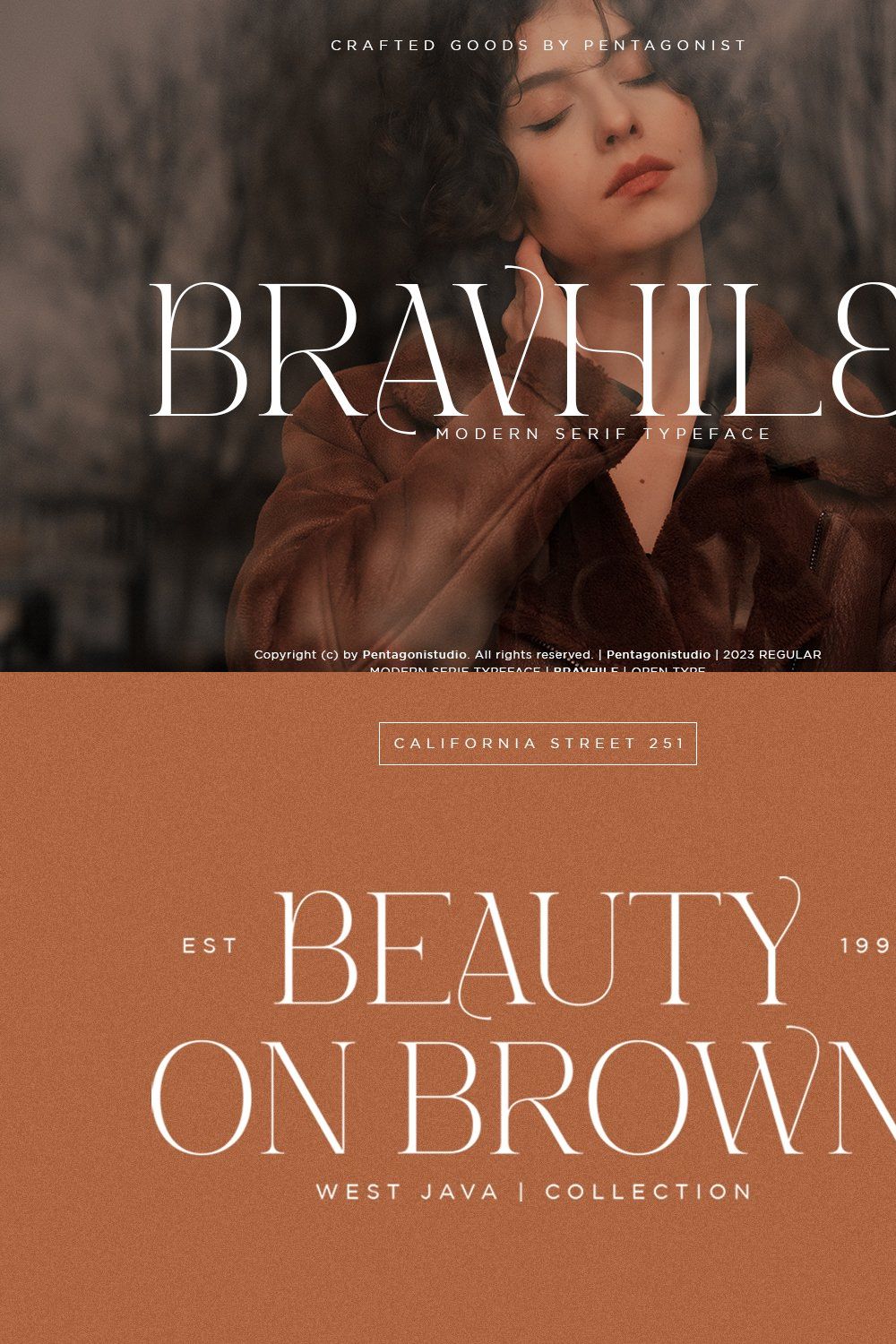 Bravhile | Modern Serif pinterest preview image.