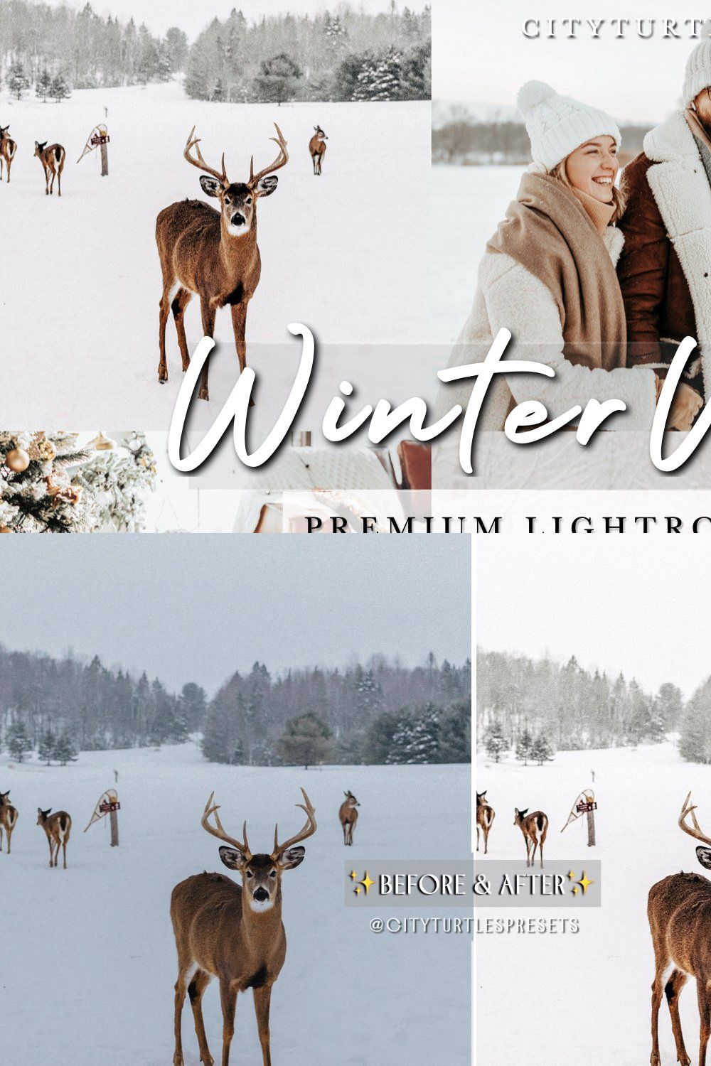 Bright Clean WINTER WHITES Presets pinterest preview image.