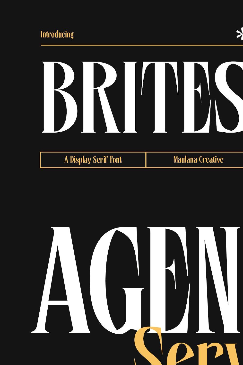 Brites Display Serif Font pinterest preview image.